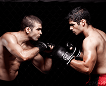 MMA Betting and Strategy