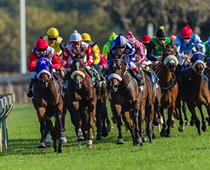 Horse Racing Betting and Strategy