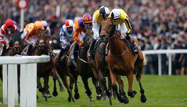 Royal Ascot Betting Preview Odds And Tips