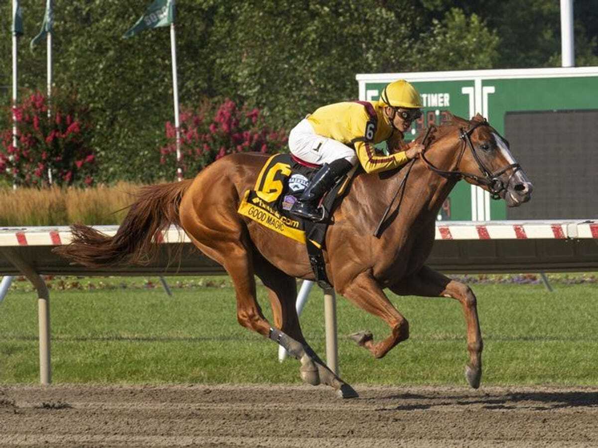 2019 Travers Stakes (G1) Horse Racing Betting Preview & Odds
