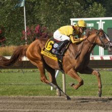 2019 Travers Stakes (G1) Horse Racing Betting Preview & Odds