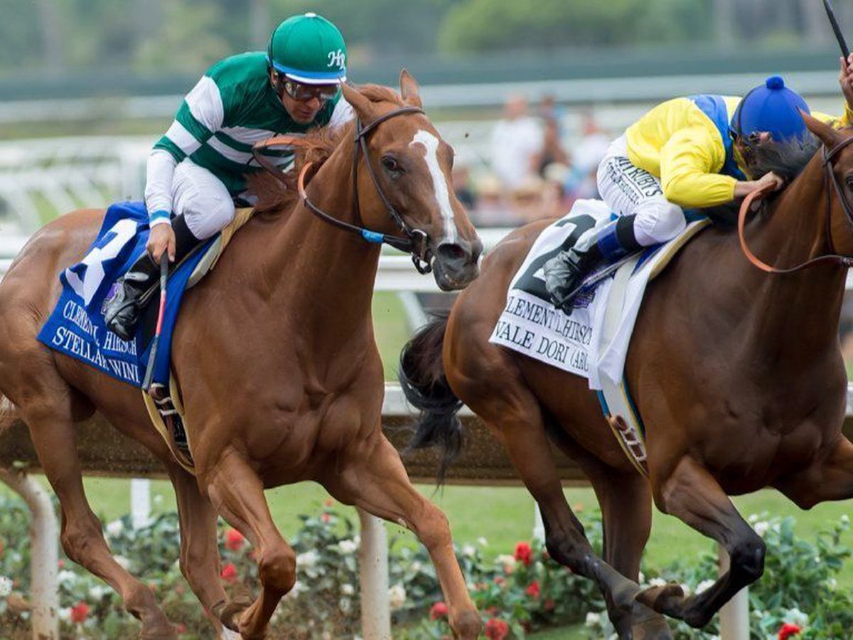 Woodward Stakes Odds and Betting Preview