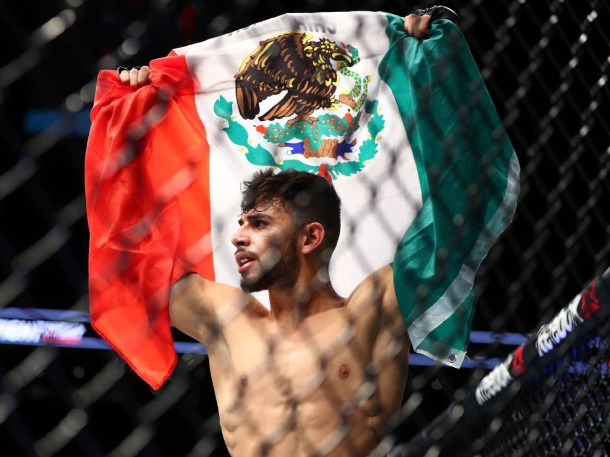 Rodriguez vs. Stephens UFC Mexico Expert Betting Preview