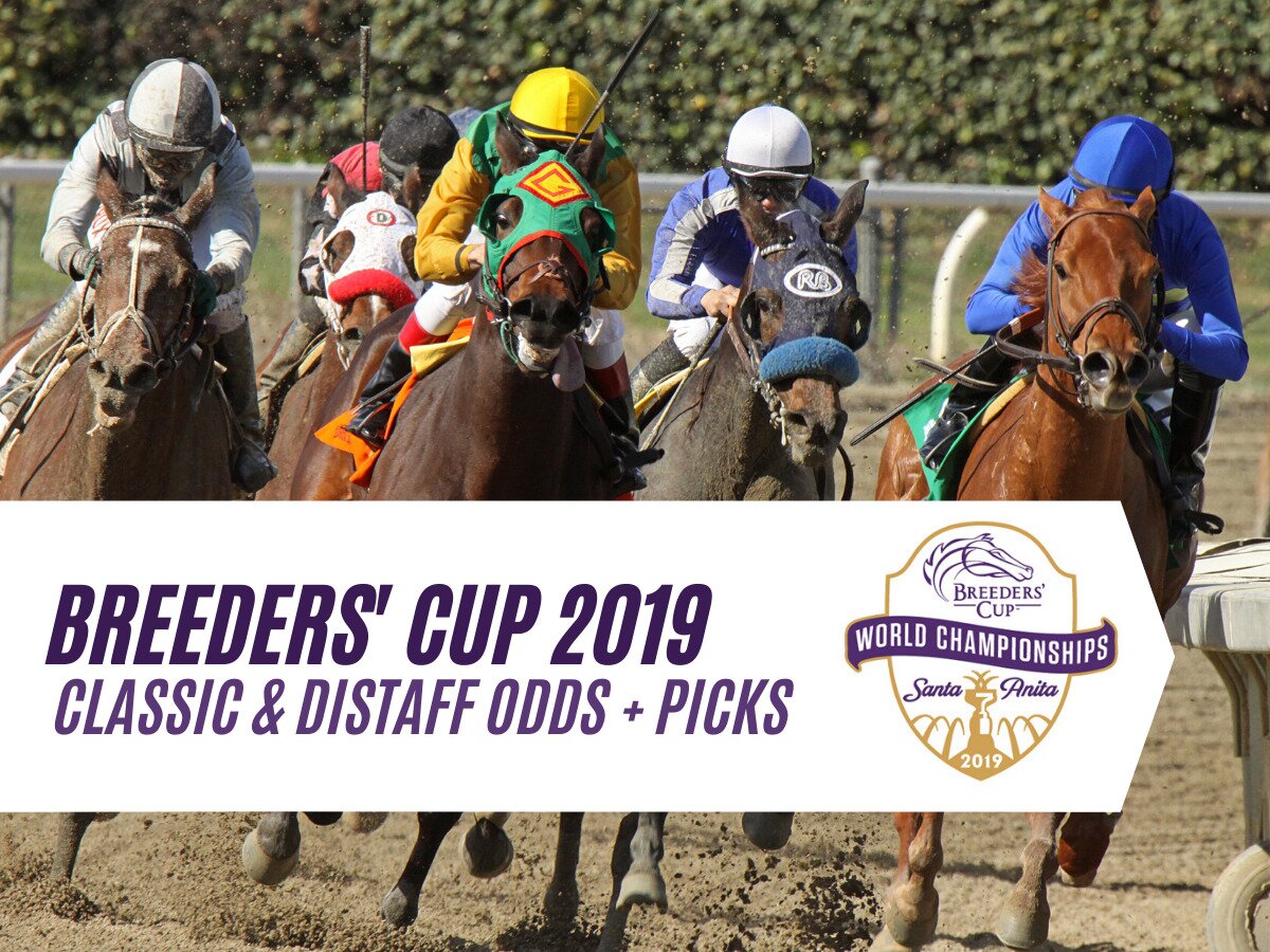 Breeders Cup Classic & Distaff Odds & Expert Analysis
