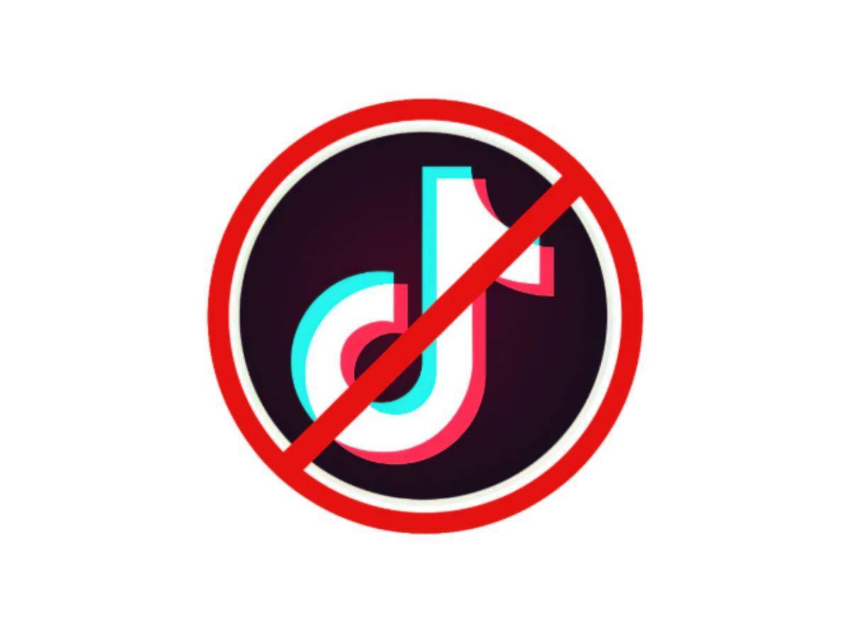 Will TikTok Be Banned In The U.S. Before 2021?