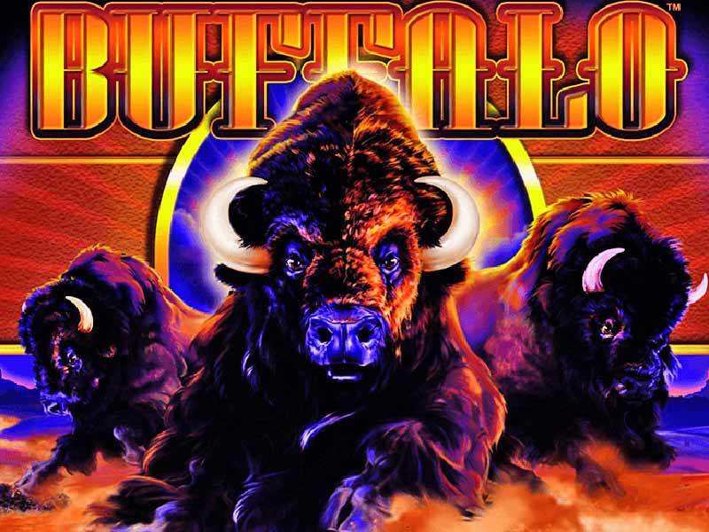 Buffalo Slots Game Original