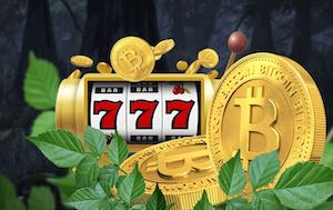 Promo code for Wild Casino crypto bonus